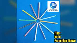 Manchon de protection pour fibre optique, aiguille de 3,8 mm et 1,0 mm